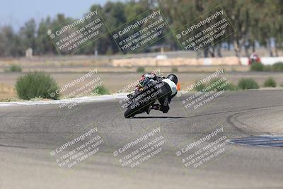 media/Sep-07-2025-Pacific Track Time (Sun) [[a6322260b9]]/A and B Group/Wheelie Bump A and B/